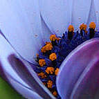 You could be sure we provide you the most effective spots to get Albendazole online, so comprising your mind will certainly take just a couple of minutes of your time.