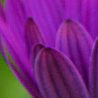 Establishment Albenza at space temperature level, in between 68 as well as 77 degrees F (20 as well as 25 levels C), in a tightly closed container.