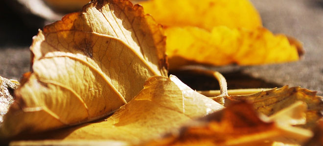 It is advised that plasma attentions of theophylline be checked throughout and also after therapy with Albenza.